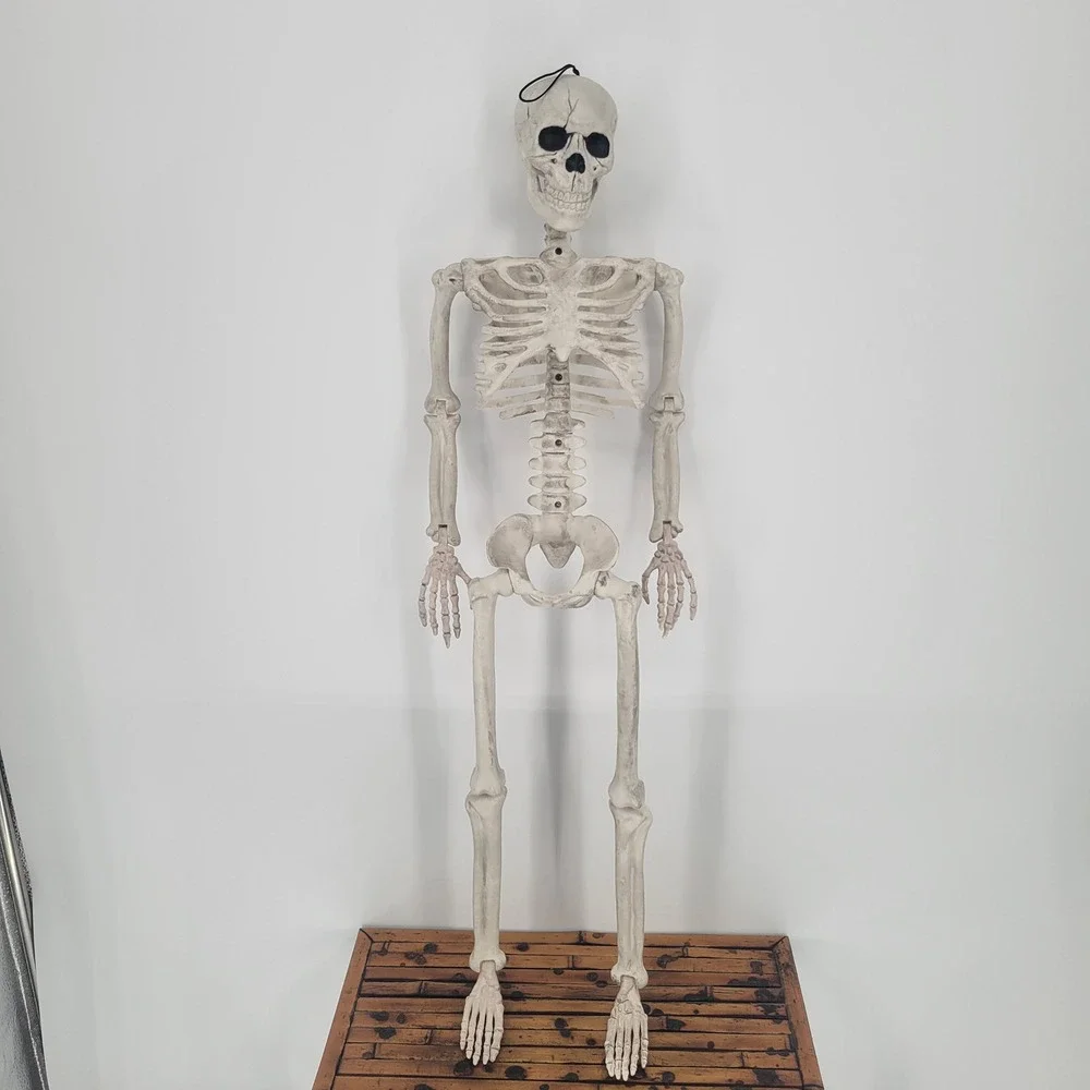 36 Inch Posable Halloween Skeleton Prop Realistic Weathered Bone Decor Hanging